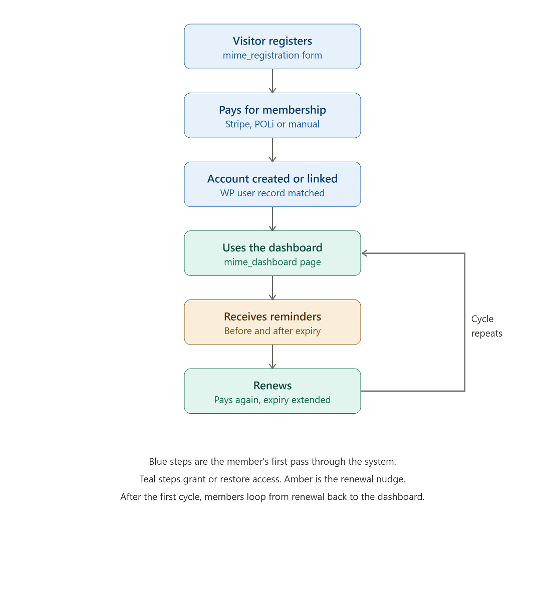 Member Journey Flow